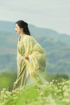 镇魂在线观看